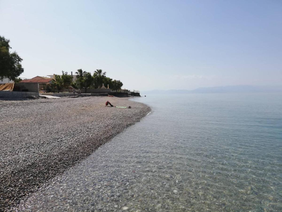 Olea Apartments Xylokastro Luaran gambar