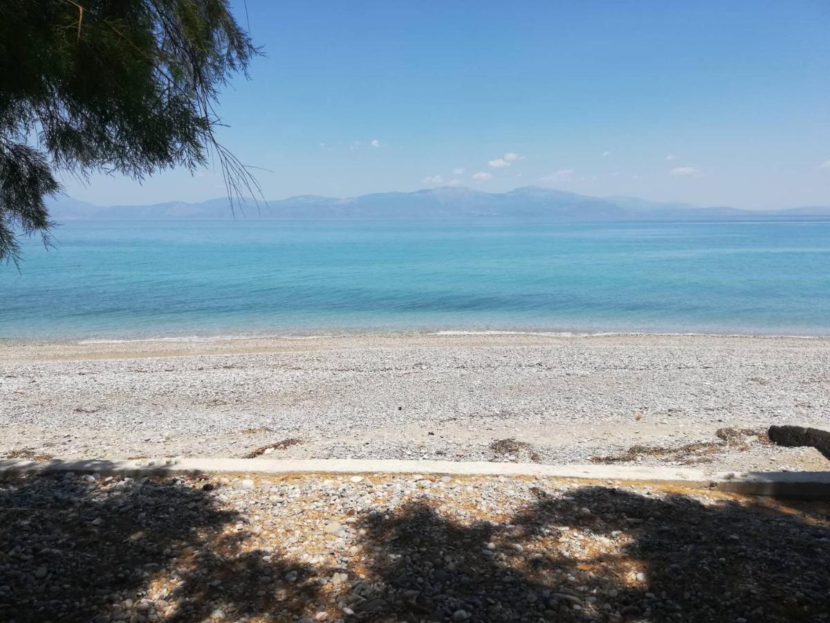 Olea Apartments Xylokastro Luaran gambar